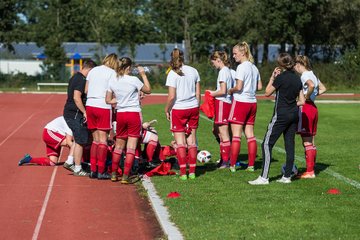 Bild 230 - Frauen SV Wahlstedt - ATSV Stockelsdorf : Ergebnis: 2:2